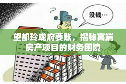 望都玲珑府要账，揭秘高端房产项目的财务困境