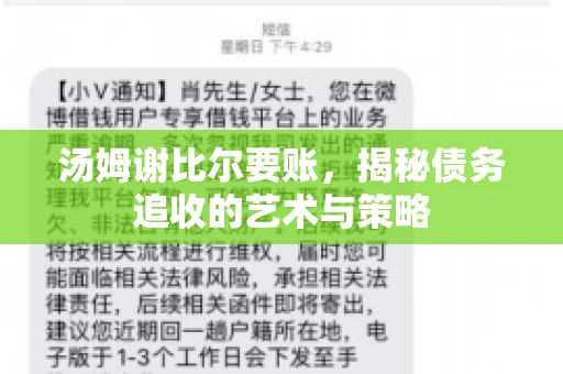 汤姆谢比尔要账，揭秘债务追收的艺术与策略