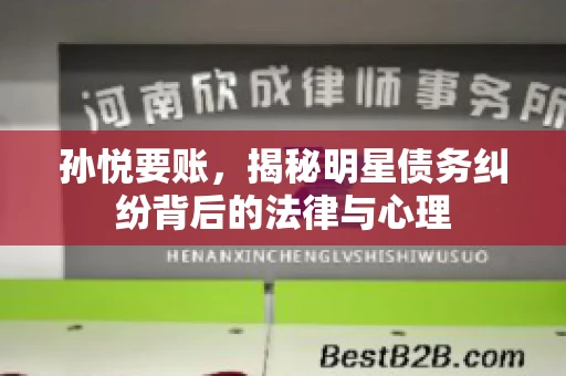 孙悦要账，揭秘明星债务纠纷背后的法律与心理