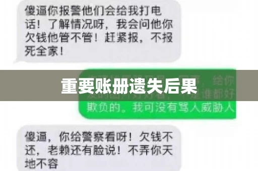 重要账册遗失后果