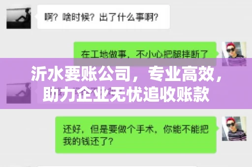沂水要账公司，专业高效，助力企业无忧追收账款