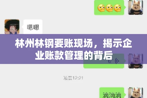 林州林钢要账现场，揭示企业账款管理的背后