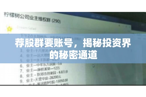 荐股群要账号，揭秘投资界的秘密通道