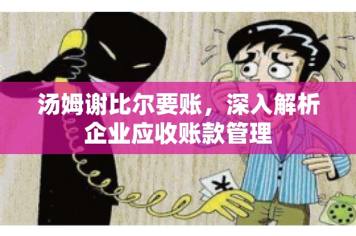 汤姆谢比尔要账，深入解析企业应收账款管理