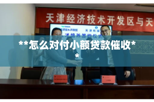**怎么对付小额贷款催收** **怎么对付小额贷款催收**