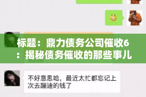 标题：鼎力债务公司催收6：揭秘债务催收的那些事儿