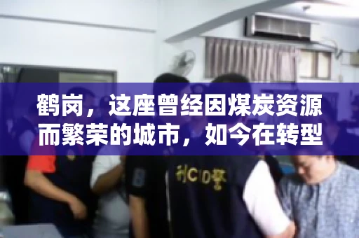 鹤岗，这座曾经因煤炭资源而繁荣的城市，如今在转型中寻求新的发展路径。在这座城市中，有一家名为“鹤岗要账公司”的企业，它以专业的服务，在众多企业中脱颖而出。今天，就让我们一起来了解一下这家公司，看看它是如何在这个充满挑战的市场中立足的。