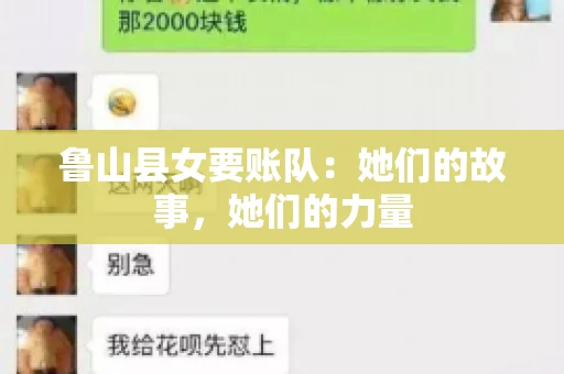 鲁山县女要账队：她们的故事，她们的力量