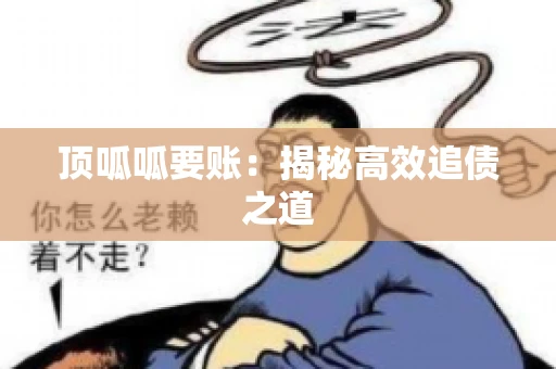 顶呱呱要账：揭秘高效追债之道