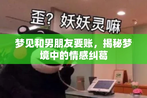 梦见和男朋友要账，揭秘梦境中的情感纠葛