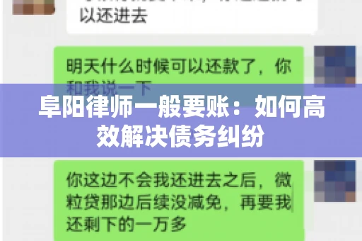 阜阳律师一般要账：如何高效解决债务纠纷