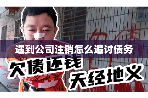 遇到公司注销怎么追讨债务
