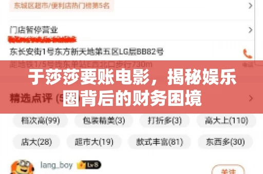 于莎莎要账电影，揭秘娱乐圈背后的财务困境