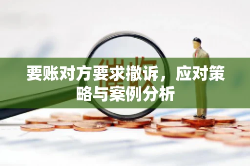 要账对方要求撤诉，应对策略与案例分析